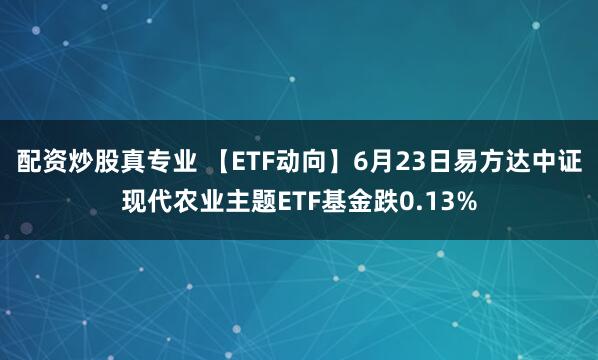 配资炒股真专业 【ETF动向】6月23日易方达中证现代农业主题ETF基金跌0.13%
