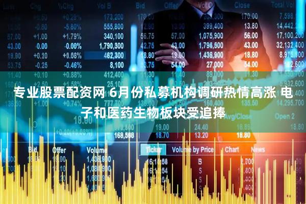 专业股票配资网 6月份私募机构调研热情高涨 电子和医药生物板块受追捧